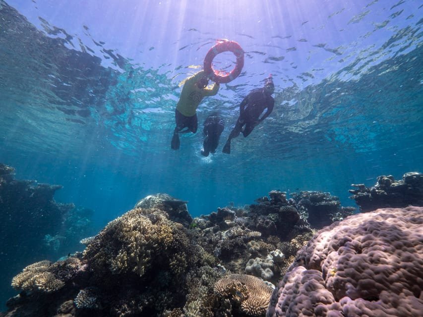nageurs dans la mer de la barriere de corail