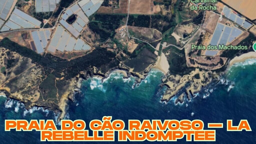 Praia do Cão Raivoso plage elle serait par la selon les coordonnées gps
