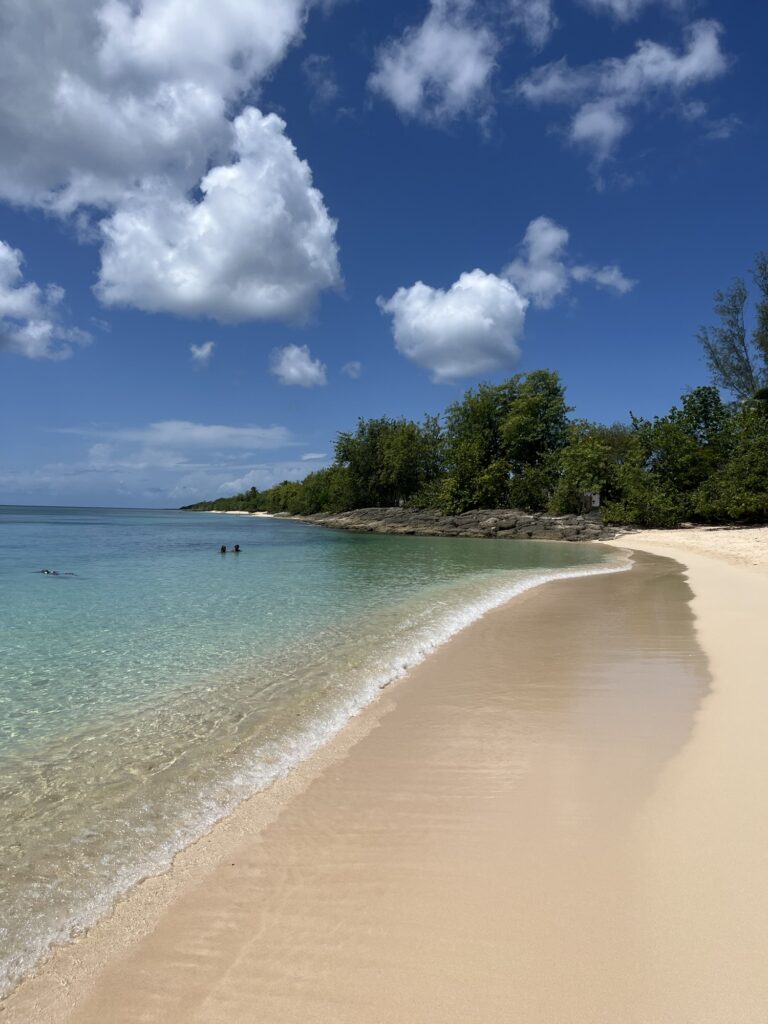 que faire en guadeloupe en decembre